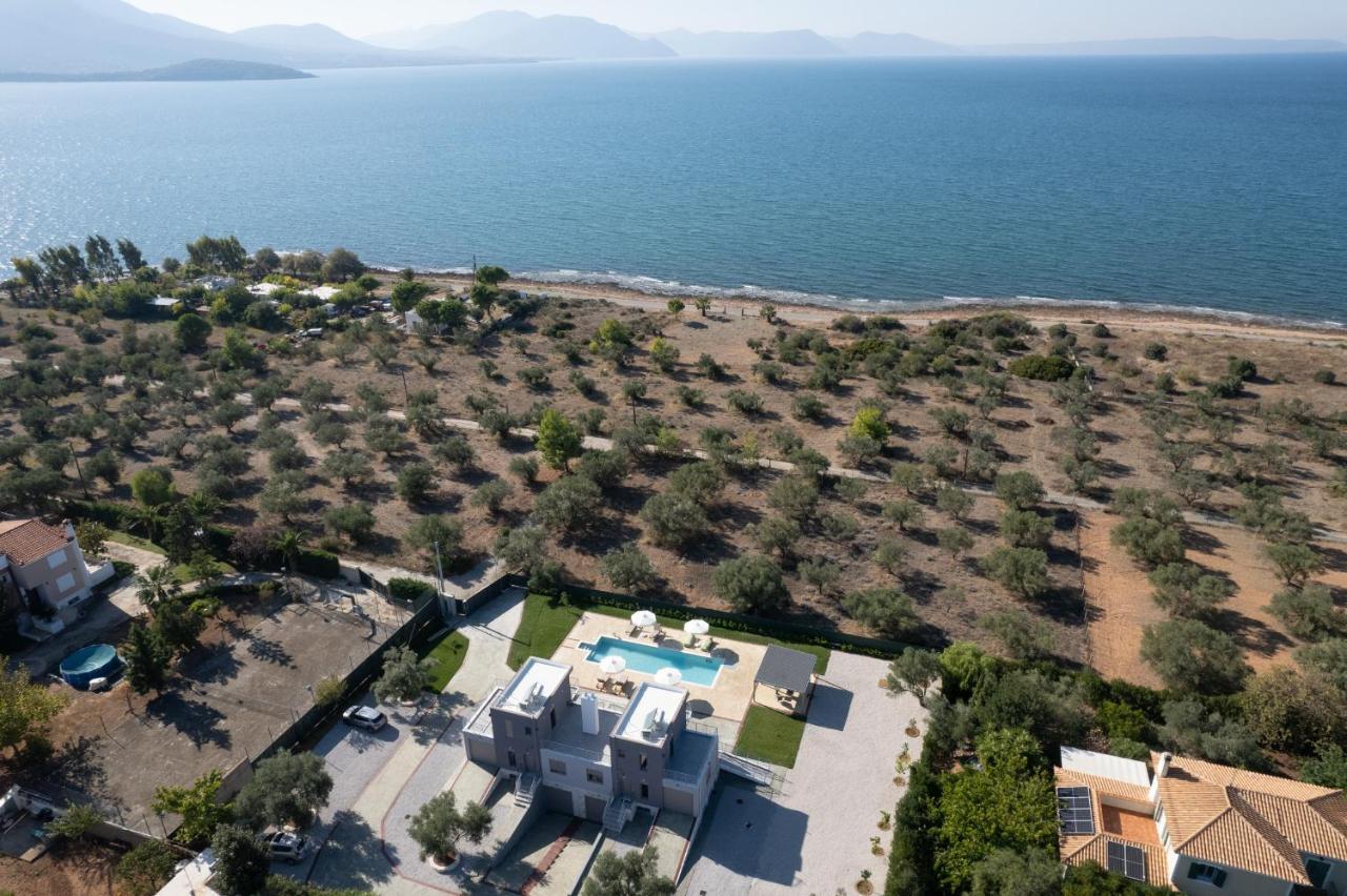 Marea Twins Villas Drosia  Esterno foto